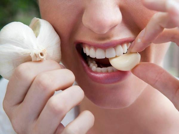 Warum sollten Sie Ihren eigenen Knoblauch anbauen und den chinesischen vermeiden?